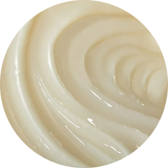 Shampoo & Conditioners