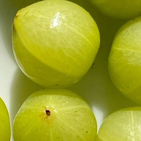 Gooseberry (Amla)