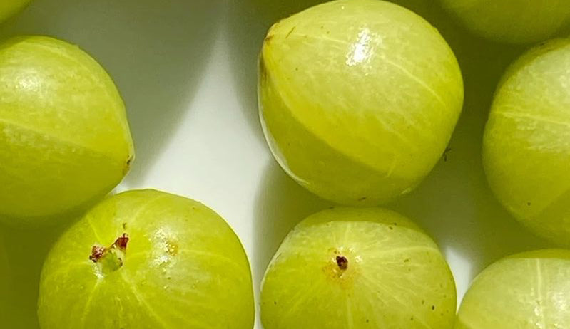 Gooseberry (Amla)