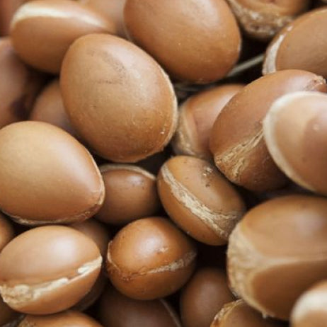 Argan Oil
