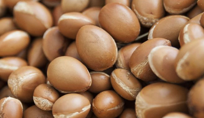 Argan Oil