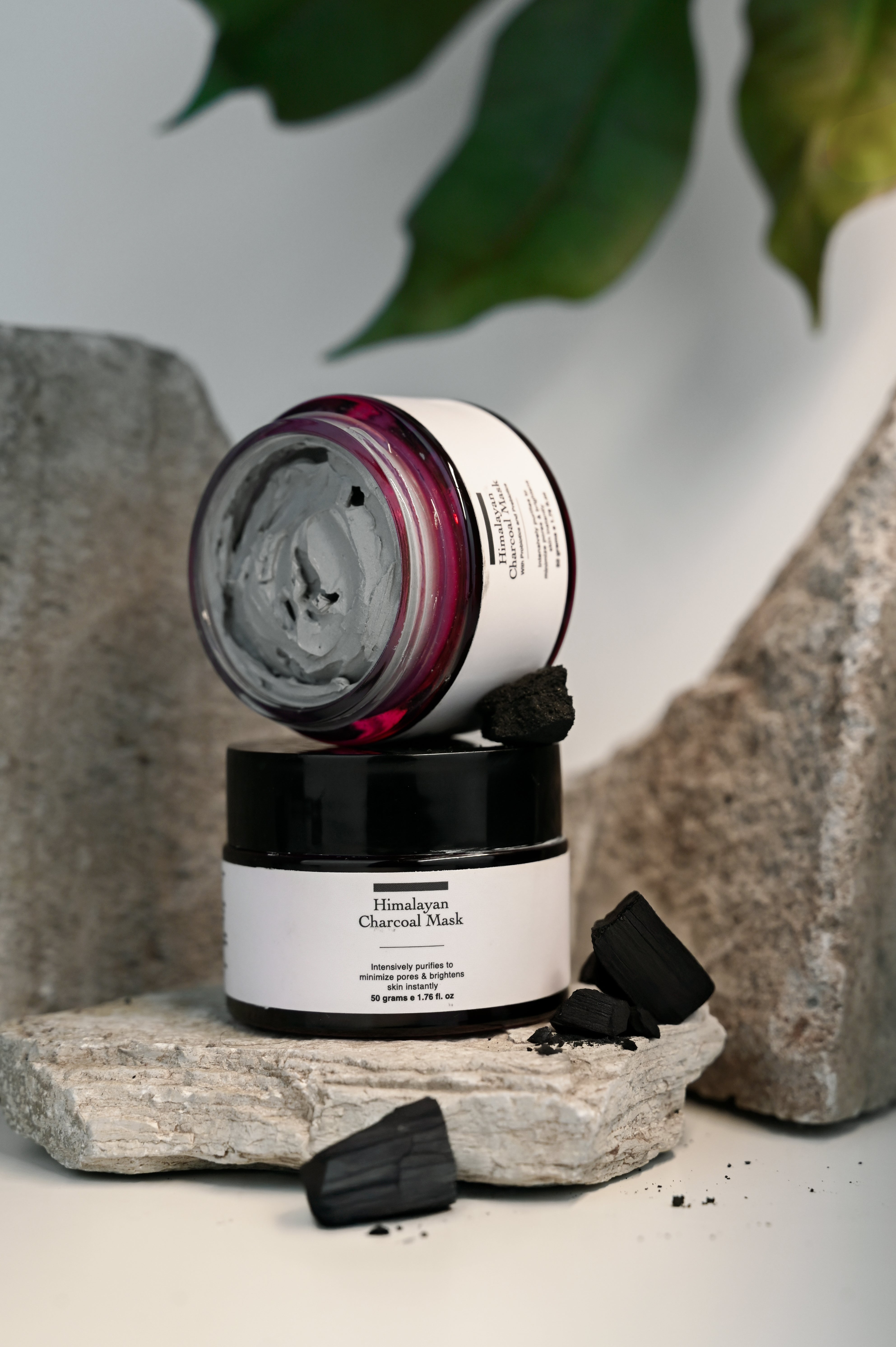 Activated Charcoal Mask + Probiotics