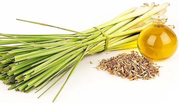 Lemongrass 