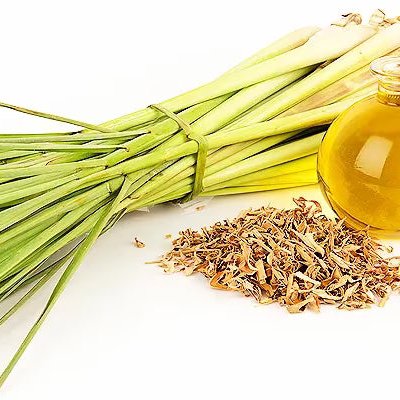 Lemongrass 