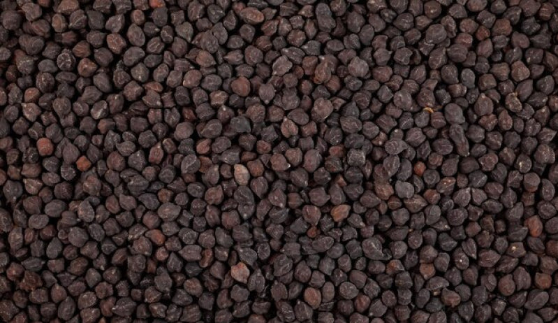 Onion Seed Oil