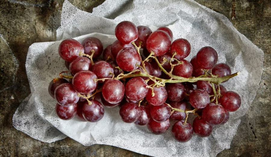 Resveratrol