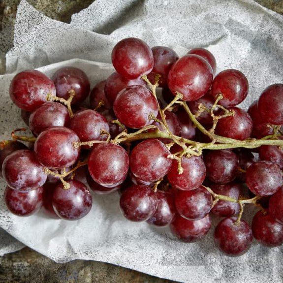 Resveratrol