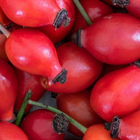 Rosehip Oil 