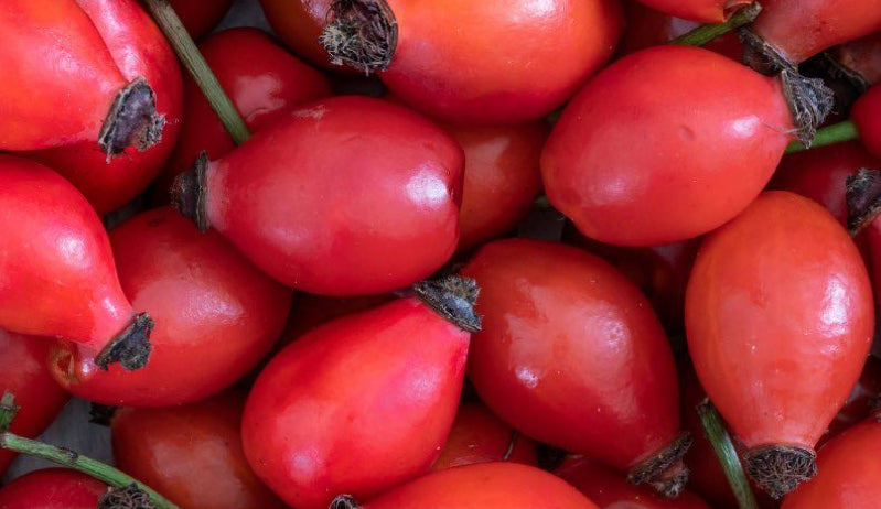 Rosehip Oil 
