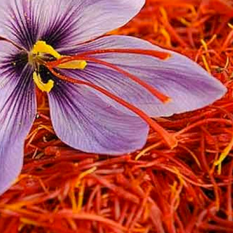 Saffron