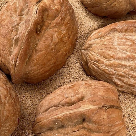 Walnut Shell Powder