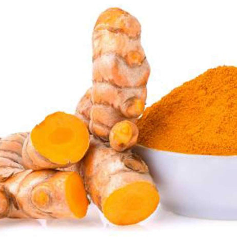 Wild Turmeric 