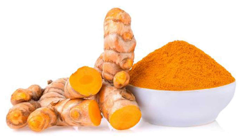 Wild Turmeric 