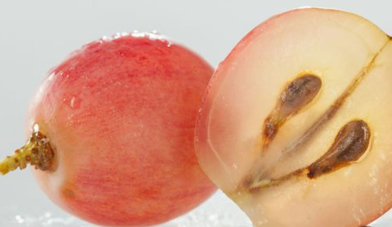 Grapeseed Oil