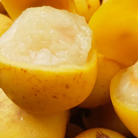Marula Oil 