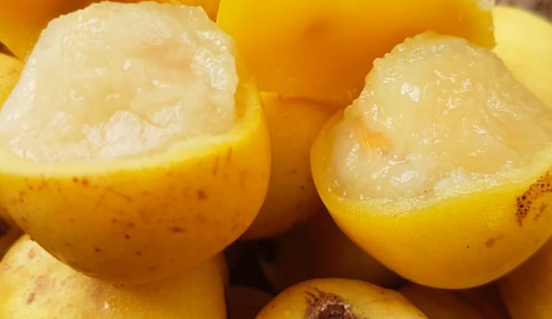 Marula Oil 